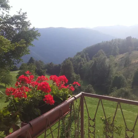 Pr Pelaku * Tolmin